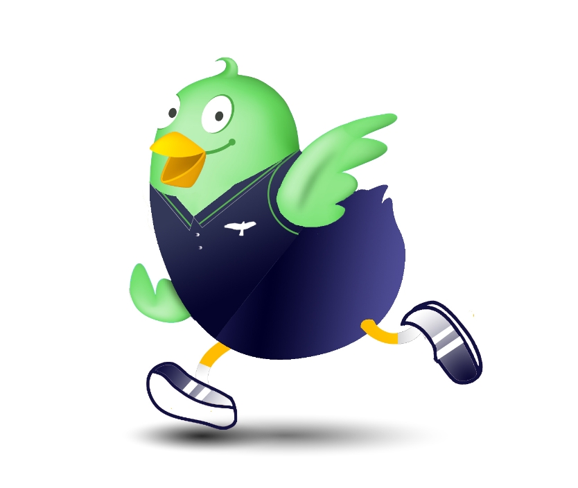 GGP birdy 3a