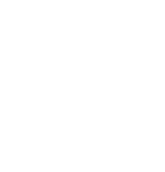 GGP policies icon
